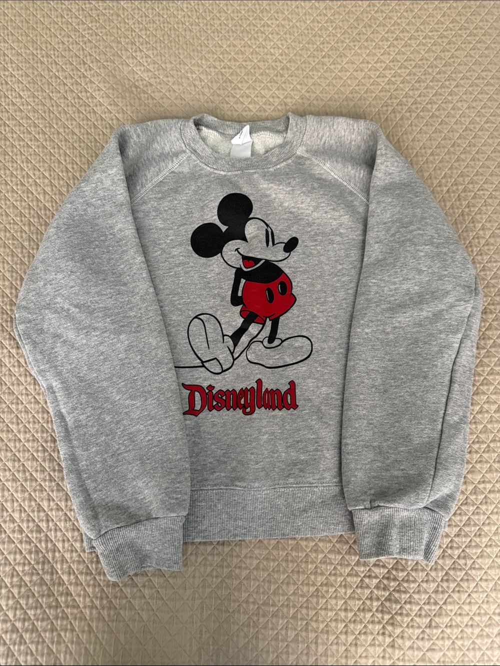 Disneyland Sweatshirt